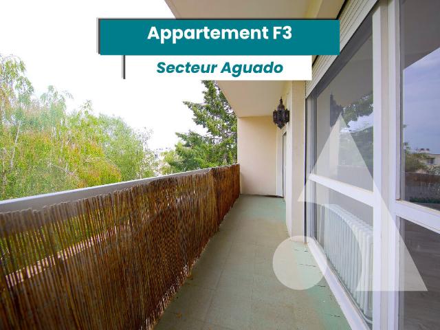 Appartement 4 pièces 80 m²