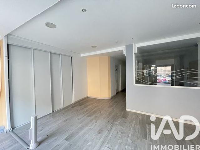 Appartement 3 pièces 115 m²