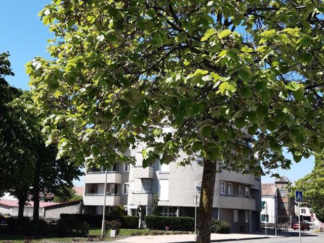 APPARTEMENT 3 PIECES CENTRE VILLE HERICOURT