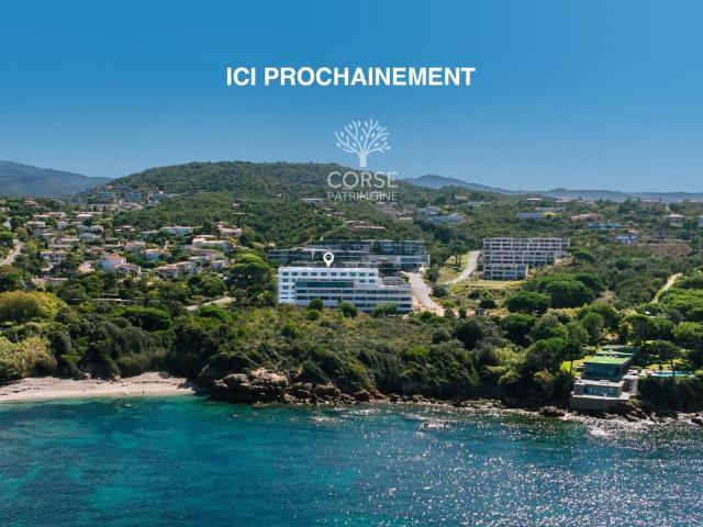 APPARTEMENT 3 PIECES ET TERRASSE, VUE MER 20166 PORTICCIO