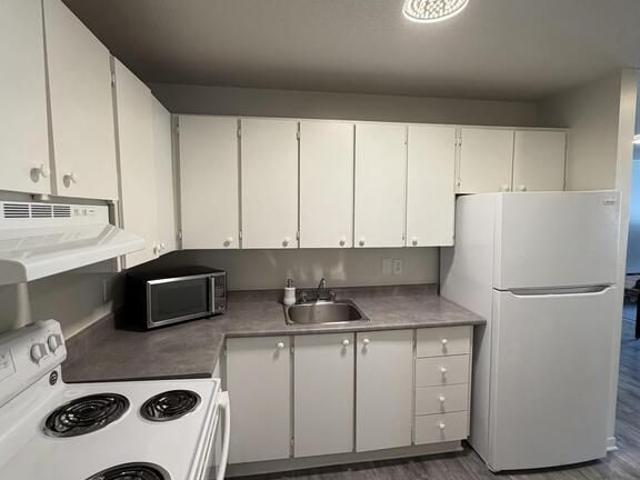 Appartement 3 1/2 à Louer Le 1er Mai