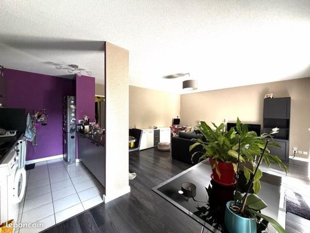 Appartement T3 66m2 2 parkings jardin et climatisation