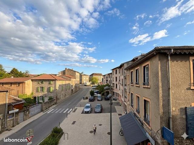 Appartement T3 traversant et entièrement rénové en plein cœur de Soucieu en Jarrest