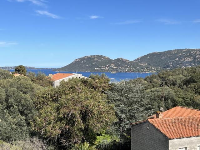Appartement T3 vue mer centre ville