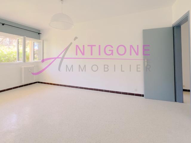 Appartement T3 au Calme Fleur de Mai