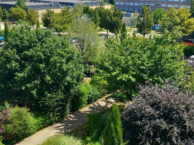 Appartement T3 avec piscine cadre agréable et prestations de qualité
