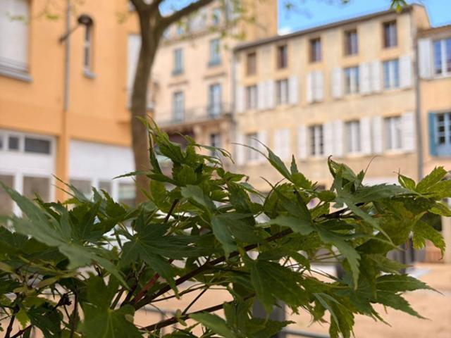 Appartement T3 avec terrasse et grand grenier. Carcassonne