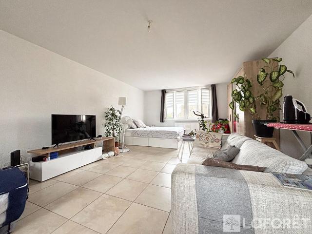 Appartement T3 BENFELD à louer