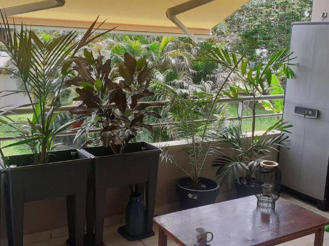 Appartement T3 Cayenne