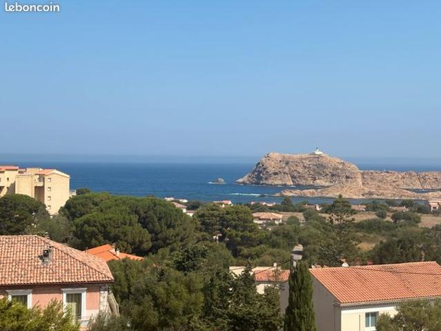 Appartement t3 centre ile rouse