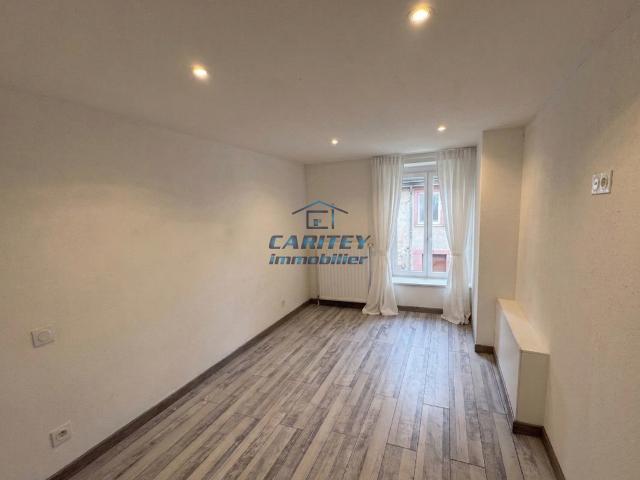 Appartement T3 CENTRE VILLE LUXEUIL LES BAINS 70300