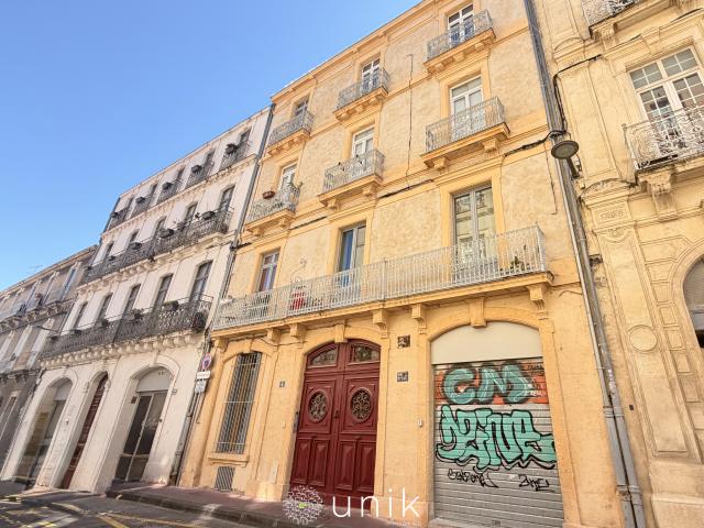 Appartement T3 de caractère 58 m2 Quartier Clemenceau Vue Parc et Tramway