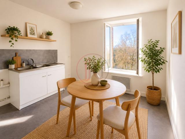 APPARTEMENT T3 DUPLEX 65 M2 SAINT MATHIEU 87440
