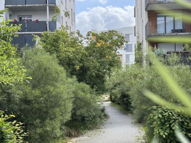 APPARTEMENT T3 PT QUEVILLY