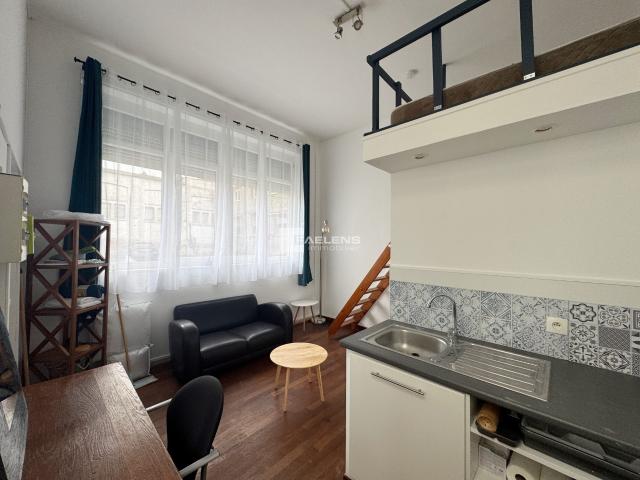 Appartement T1/2 à Lille