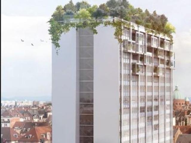 Appartement T1