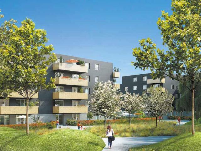 Appartement T1