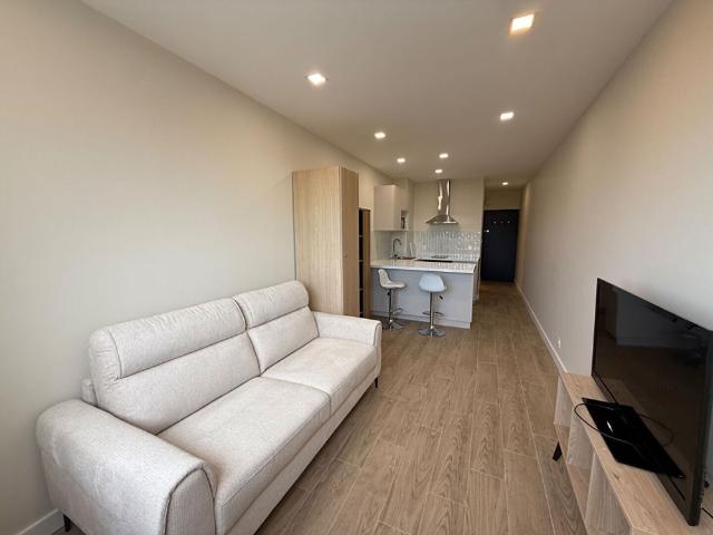 Appartement T1 25 m2 à PIETRANERA 20200