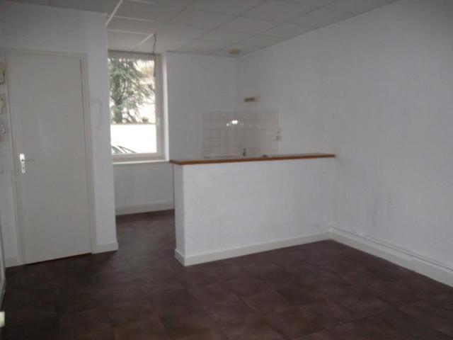 APPARTEMENT T1 BIS A LOUER A ROANNE IUT
