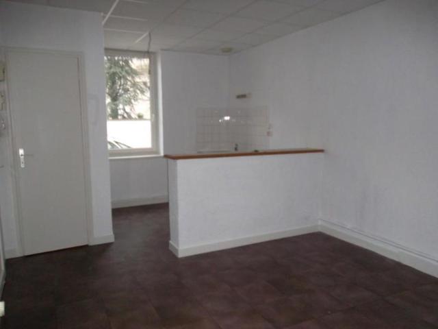 APPARTEMENT T1 BIS A LOUER A ROANNE IUT