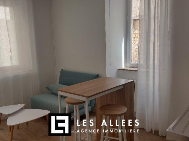 APPARTEMENT T1 BIS MEUBLE Location MONTELIMAR 26200