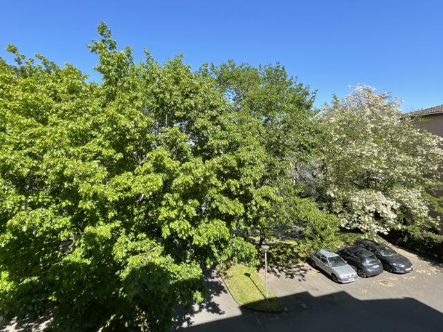 Appartement T1 Bois de Sarabelle