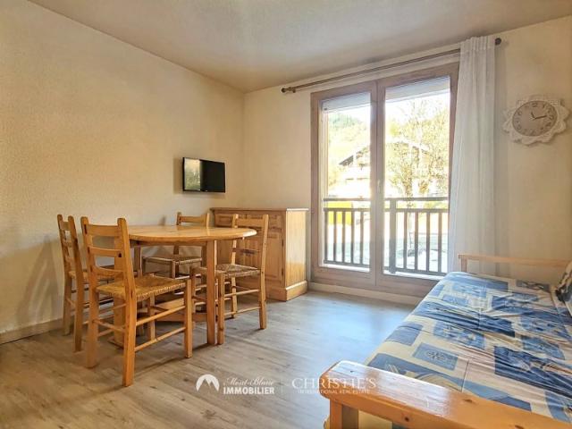 Appartement T1 coin montagne Praz sur Arly