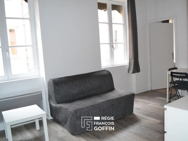 Appartement T1 meublé de 23,78 m² + mezzanine à LYON 7