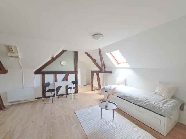 Appartement T1 / Studio meublé dans petit immeuble libre de suite STE SAVINE GARE
