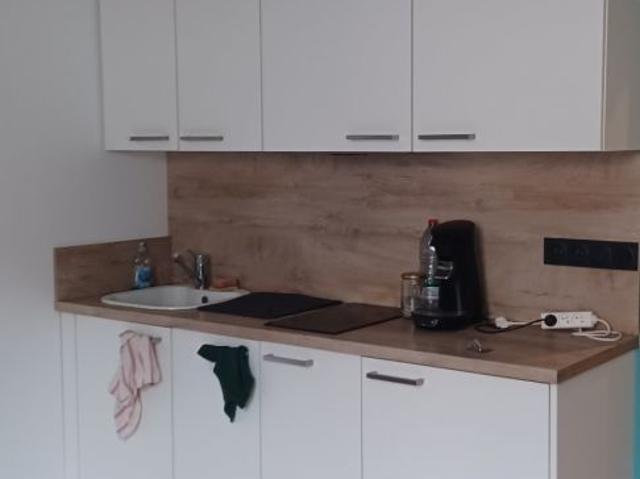 APPARTEMENT T1BIS ENTIEREMENT RENOVE RUE DES TEINTURIERS