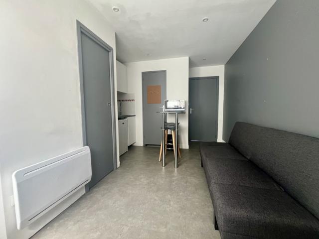Appartement T1Bis meublé de 24 m2 Route de Pont l'abbé Pro