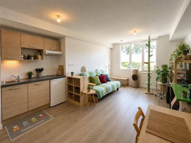 Appartement T2 49m2 à louer au mans | Pichet