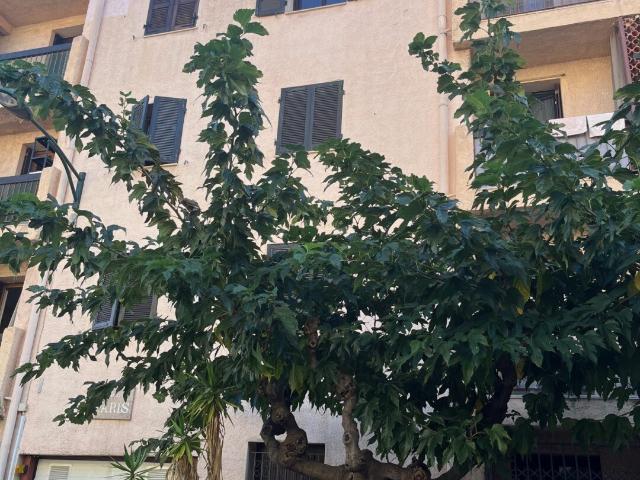 APPARTEMENT T2 50 M2 + PLACE PARKING