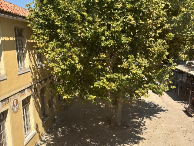 APPARTEMENT T2 36M2 L'EDEN