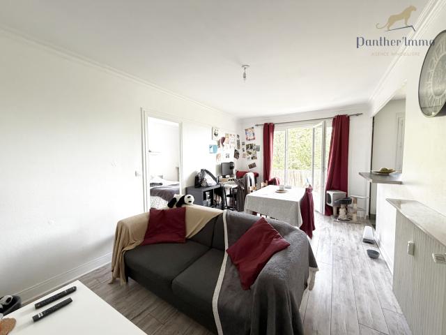 Appartement T2 vue sur Tours, 44m2, cave, parking, très calme
