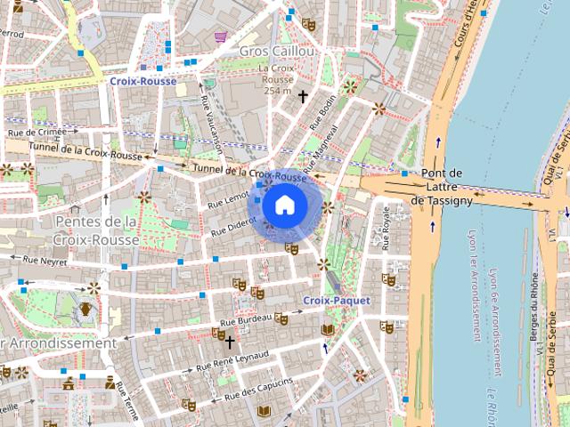 APPARTEMENT T2 A LOUER LYON 1ER ARRONDISSEMENT Griffon Royale