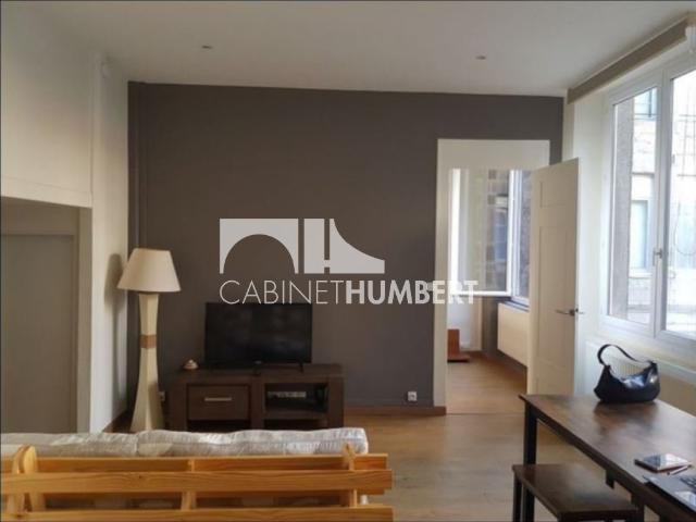 APPARTEMENT T2 A LOUER ST ETIENNE CENTRE VILLE