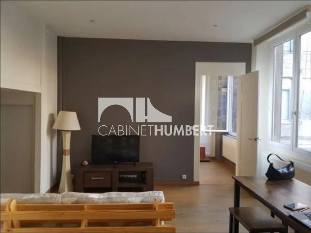 APPARTEMENT T2 A LOUER ST ETIENNE CENTRE VILLE