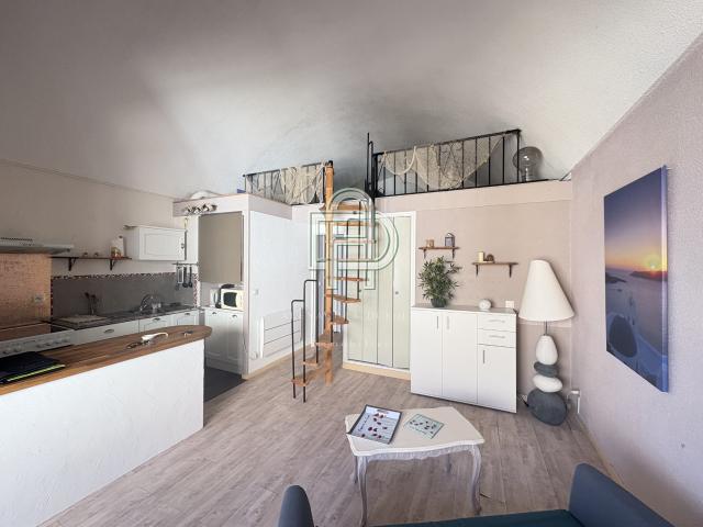 Appartement T2 avec double mezzanine Rive Gauche