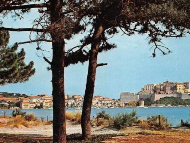 Appartement T2 CALVI 230 400€