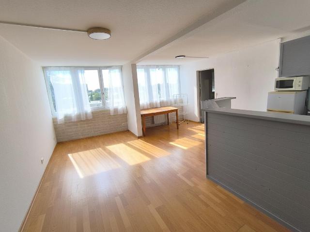 Appartement T2 lumineux