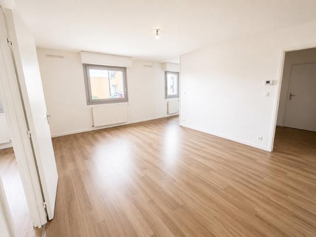 appartement T2 proche jardin des plantes
