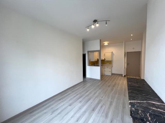 appartement t2 rénové 47000 agen