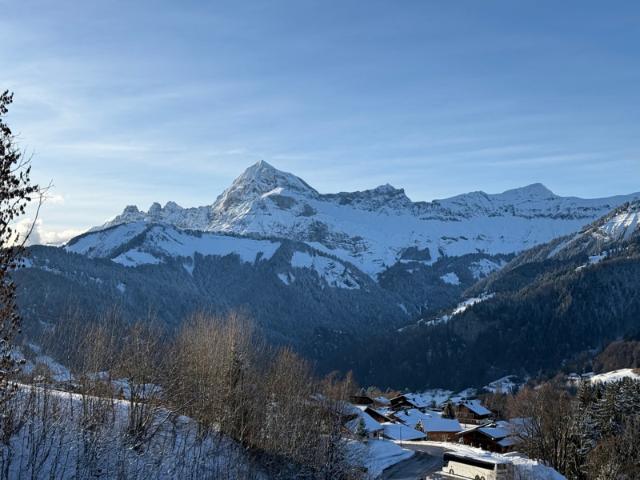 Appartement T2 rénové Pied des pistes Vue Aravis Vendu