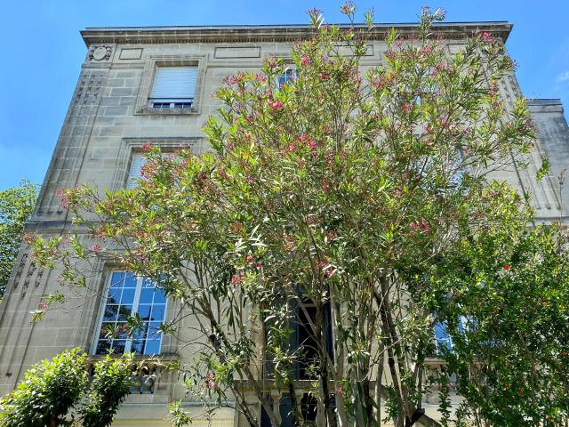 Appartement T4 en duplex de 115.27m2 + garage + jardinet
