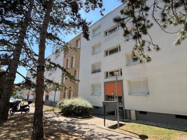 Appartement T5