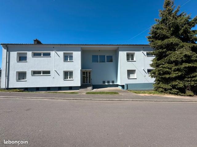 Appartement T5 avec jardin Quartier Chênes HOMBOURG HAUT