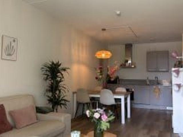 Appartement te huur: Ericastraat 93 5615 BJ Eindhoven