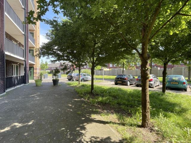 Appartement te huur Homeruskwartier Zuid, Mitrastraat in Almere