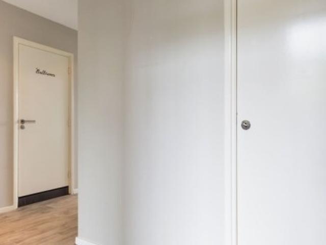 Appartement te huur in Alkmaar